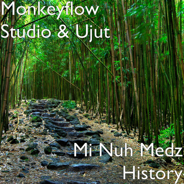 Mi Nuh Medz History