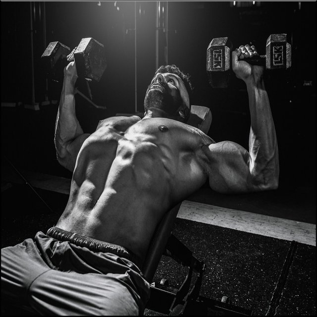 Gym Heavy Boxing and Fitness Health Motivation Discipline and Work Lifestyle Champion