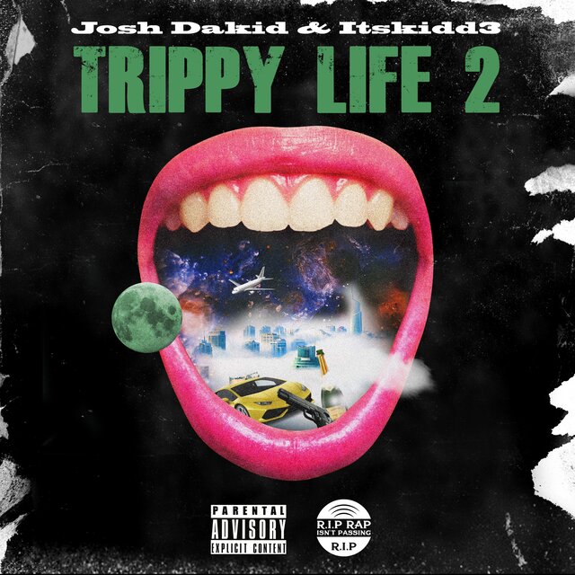Trippy Life 2
