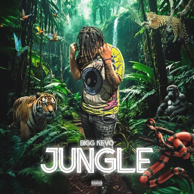 Jungle