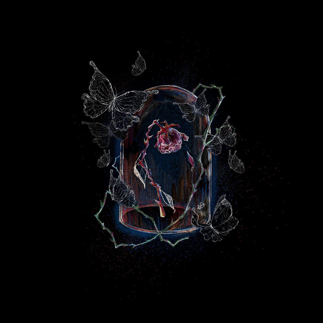 Chaos