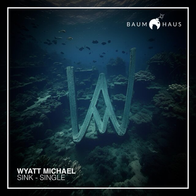 Sink (Radio Edit)