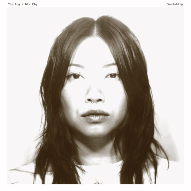 Cover art for album Ladybug 1 by The Bug, Dis Fig