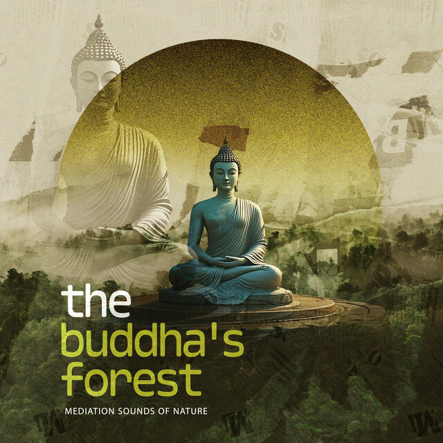 The Buddha's Forest