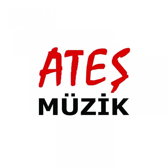Ankara Oturak Alemi, Vol. 1