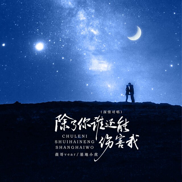 除了你谁还能伤害我 (深情对唱)