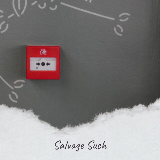 Salvage Such