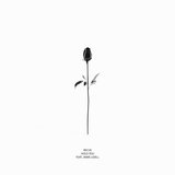 Hold You (feat. Jamie Lidell) (Full Version)