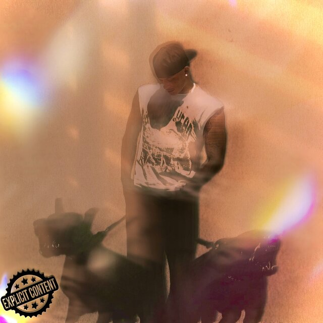 DAWGhouse