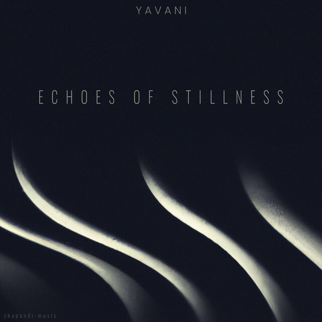 Echoes of Stillness