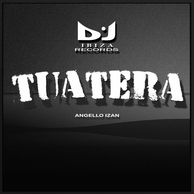 Tuatera