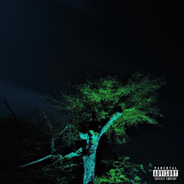SOMETIMES I NEED SPACE (DELUXE)