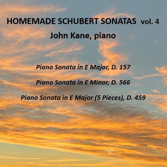 Homemade Schubert Sonatas, Vol. 4