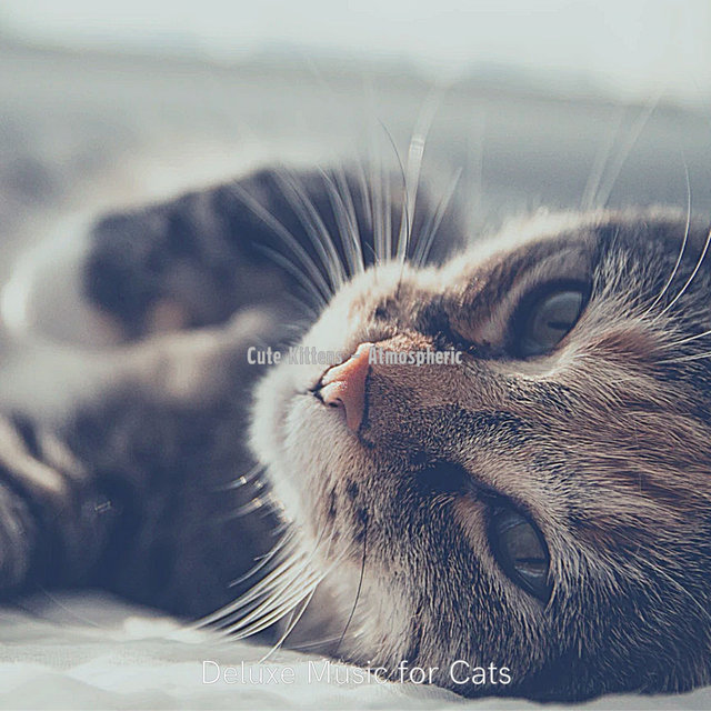Cute Kittens - Atmospheric