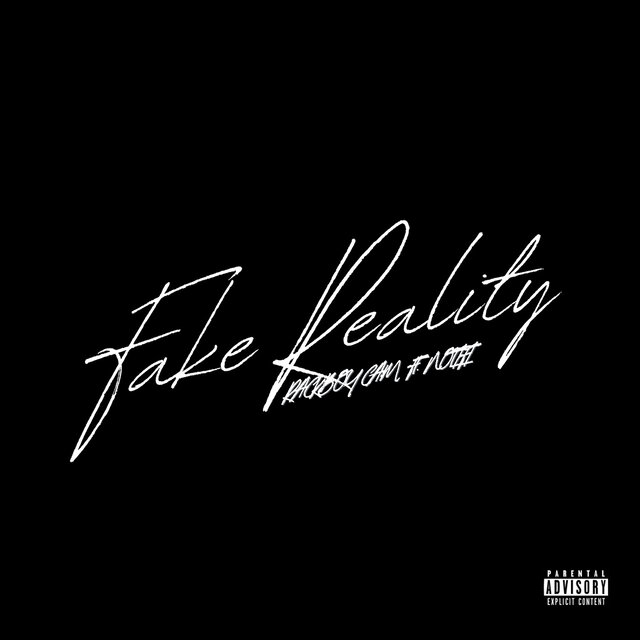 Fake Reality