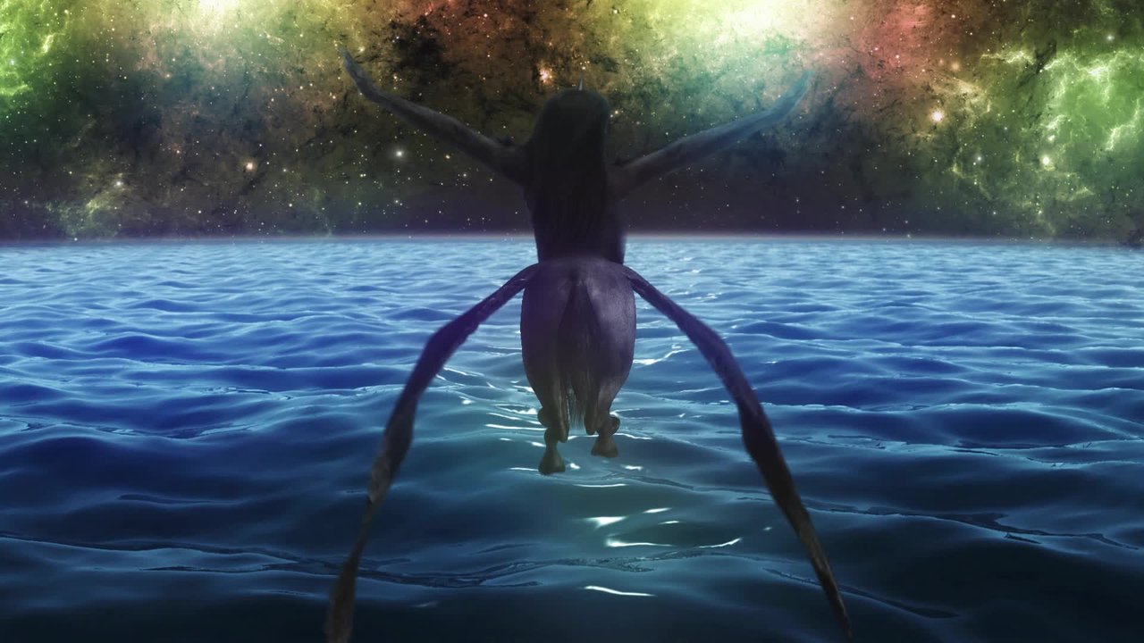 Orcas