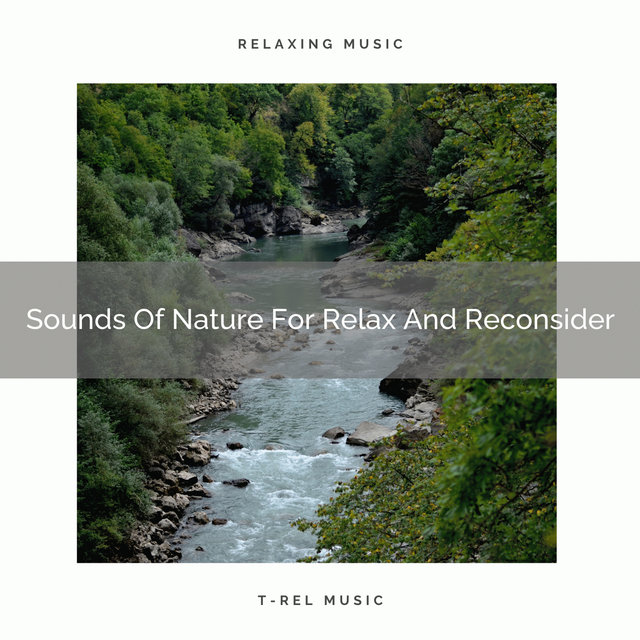 Sounds Of Nature For Relax And Reconsider
