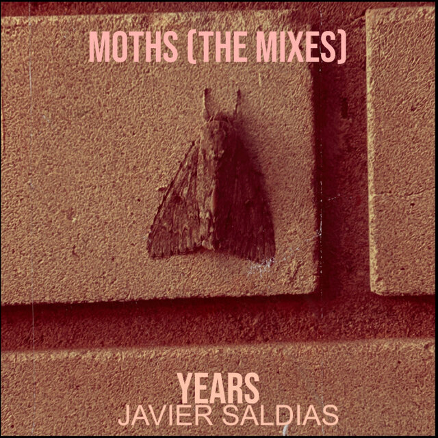 Moths (The Mixes)