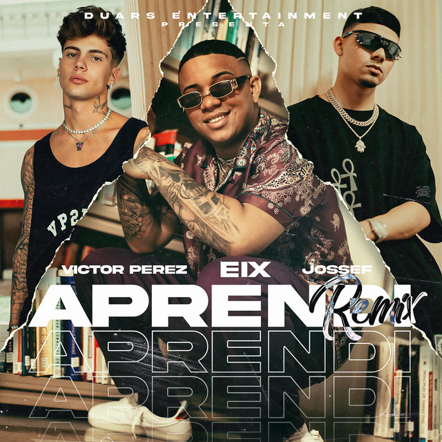 Aprendí (Remix)