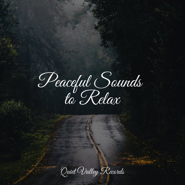 Peaceful Sounds to Relax