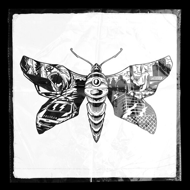 THE MOth