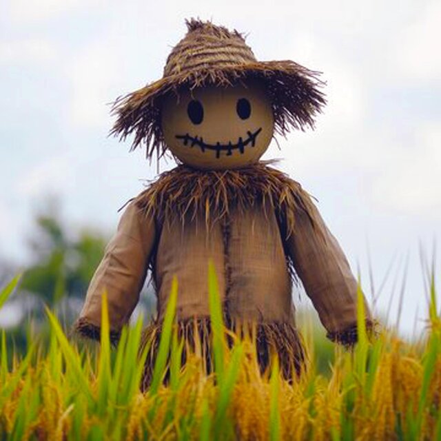 Straw Man