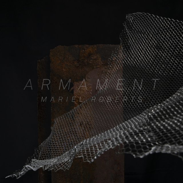 Armament