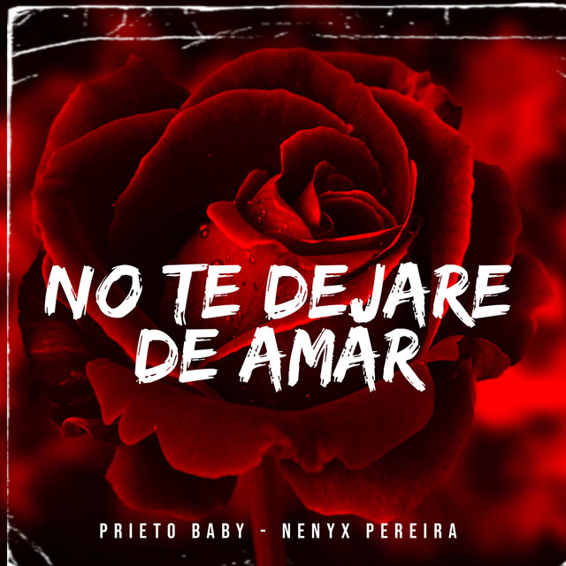 No Te Dejare de Amar