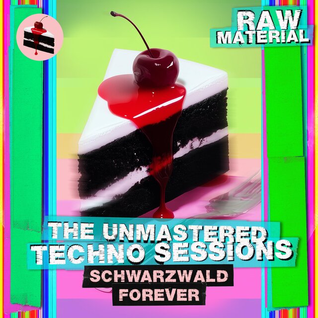 THE UNMASTERED TECHNO SESSIONS