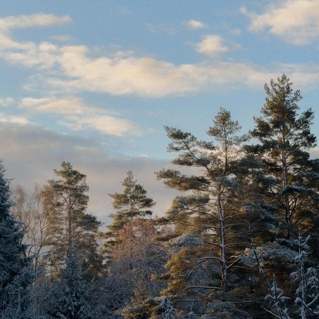 hillside