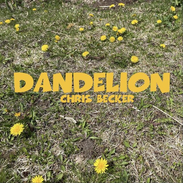 dandelion