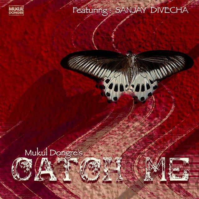 Catch Me