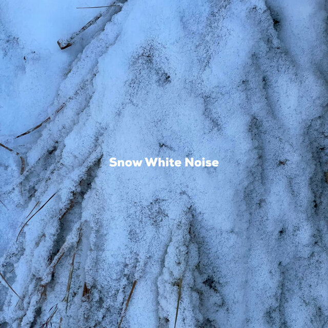 Snow White Noise
