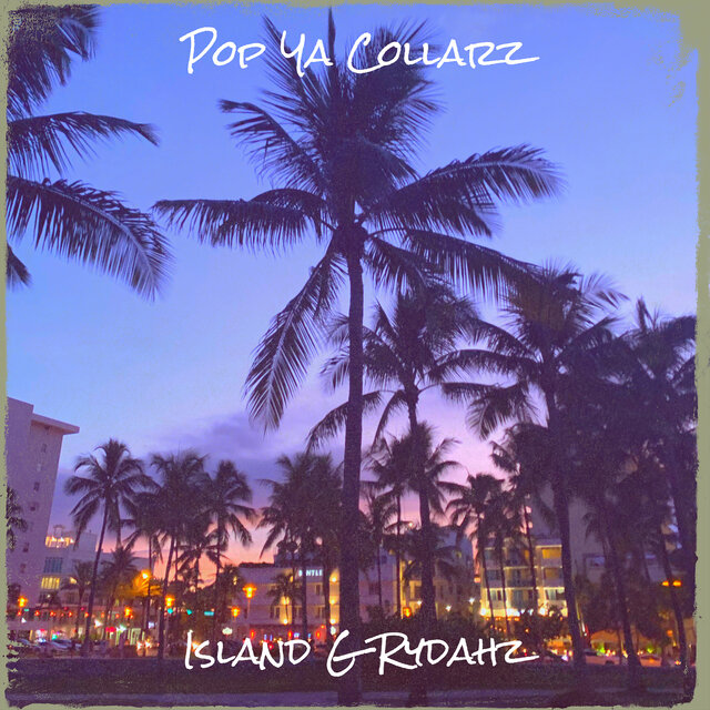 Pop Ya Collarz