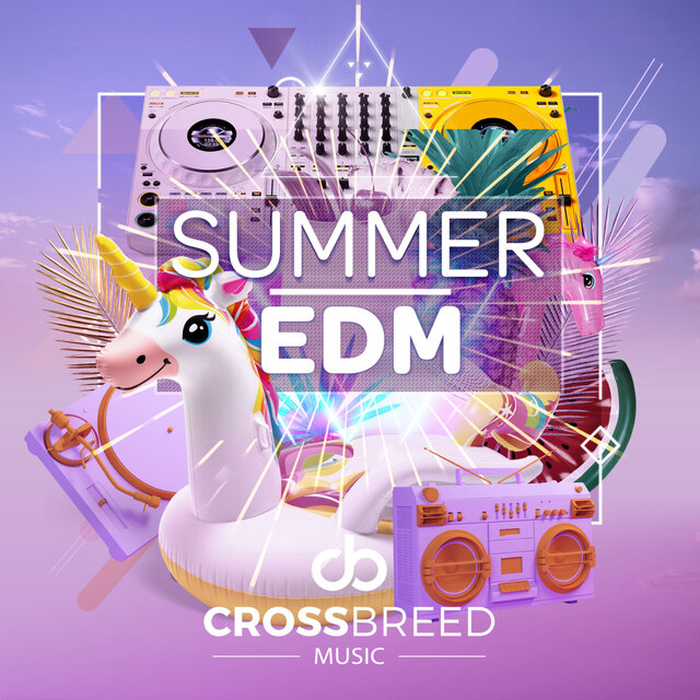 SUMMER EDM