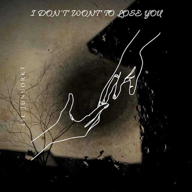 I Don't Wont To Lose You