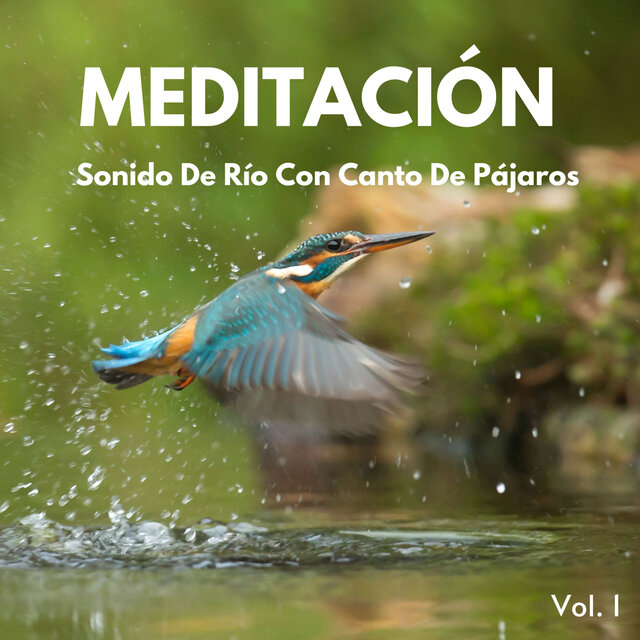 Meditación: Sonido De Río Con Canto De Pájaros Vol. 1