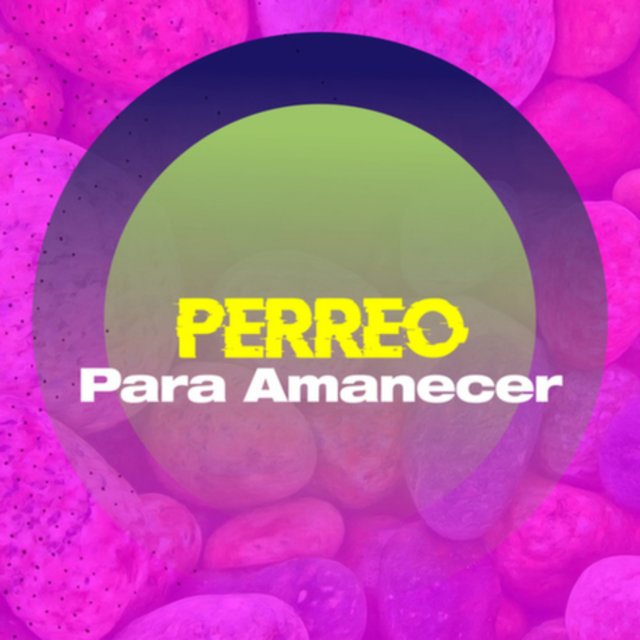 Perreo Para Amenecer