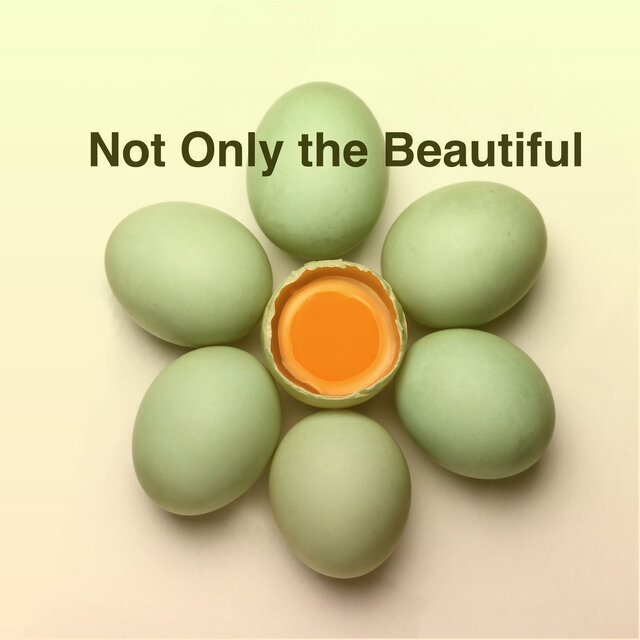 Not Only The Beautiful