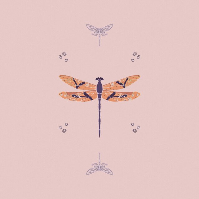 Dragonflies