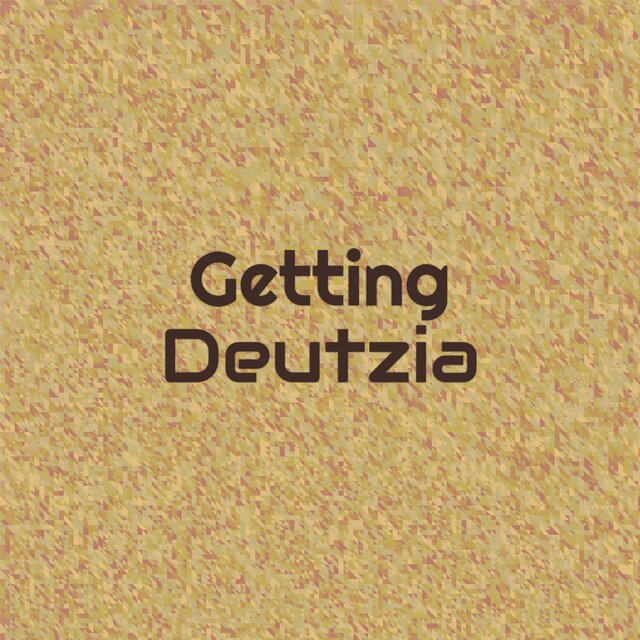 Getting Deutzia