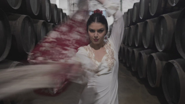 Fin de Fiesta (Bulerías)