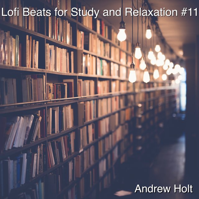 Lofi Beats for Study and Relaxation #11