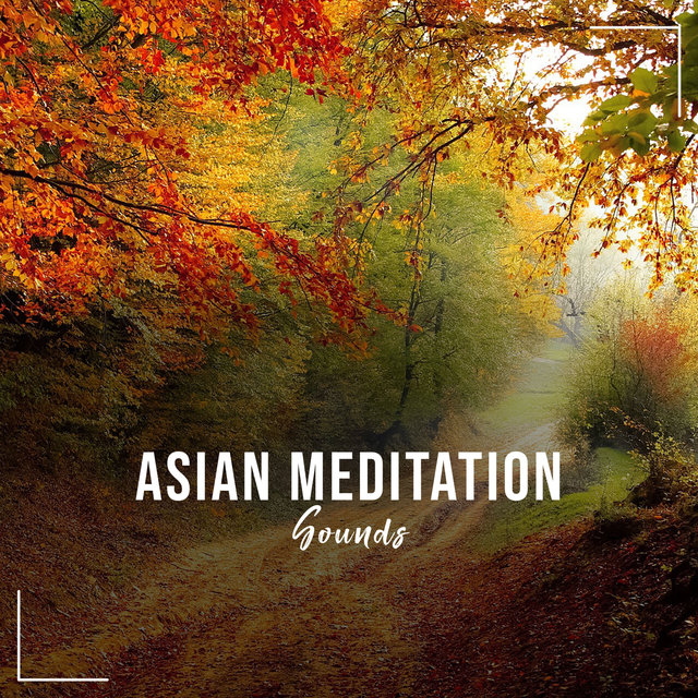 16 Asiatische Meditation Klingt beruhigend auf den Geist