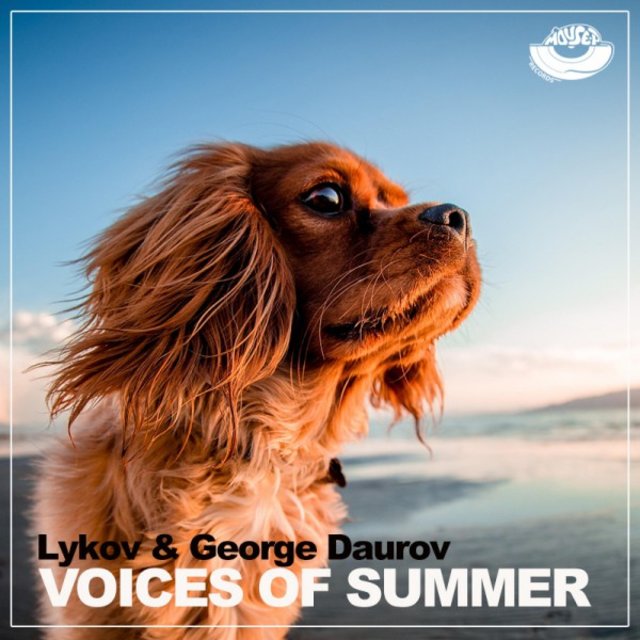 Voices of Summer