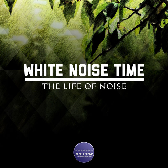 The Life of Noise