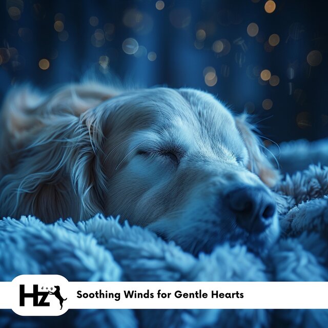 Soothing Winds for Gentle Hearts