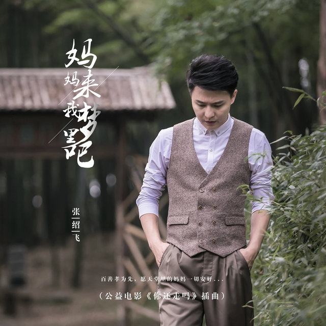 妈妈来我梦里吧 (公益电影《你还走吗》插曲)