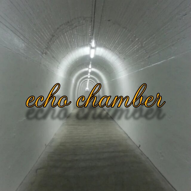Echo Chamber