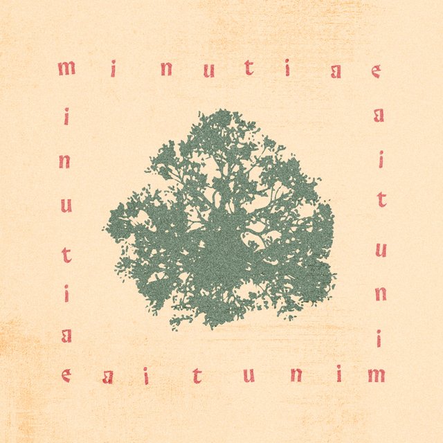 Minutiae